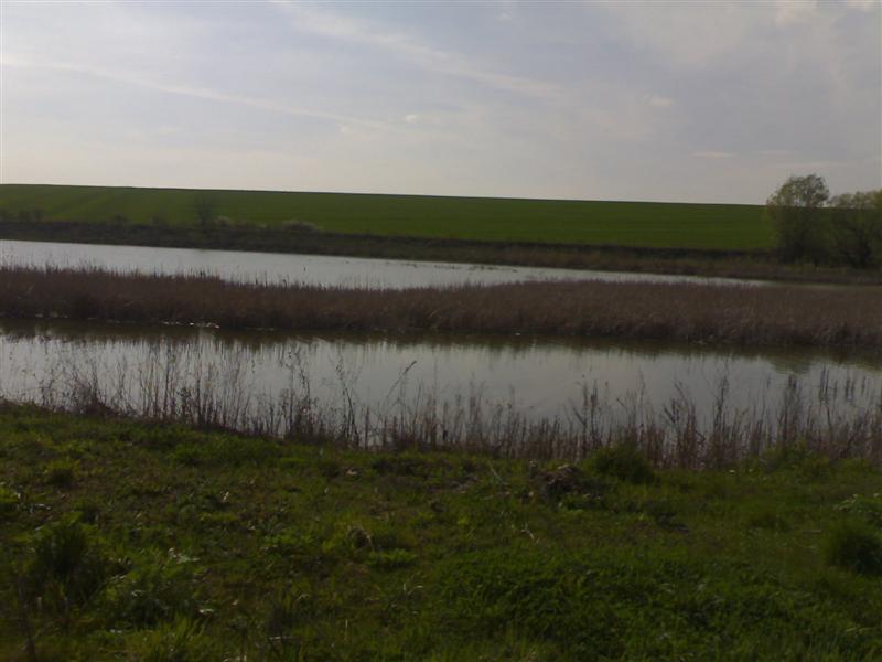 200704091661 .jpg